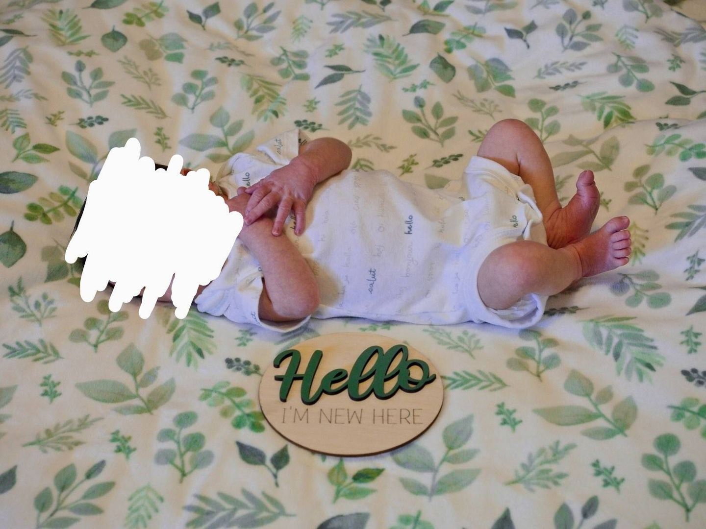 Customer photo review of Wooden Monthly Baby Milestones