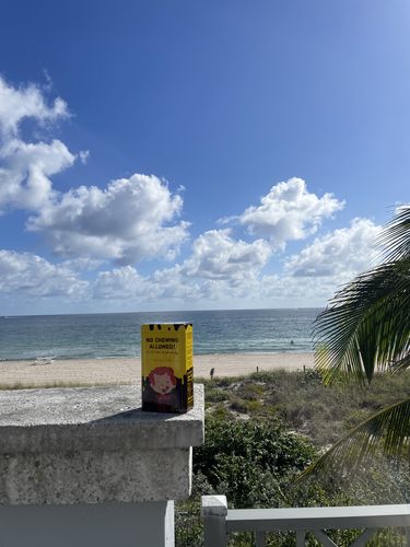 Customer photo review of Signature Tin