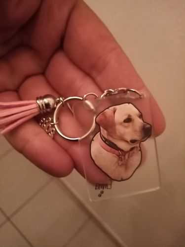 Customer photo review of Μπρελόκ με το Δικό σας Κατοικίδιο