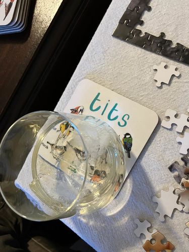 Customer photo review of Set of 6 Bird Pun Coasters