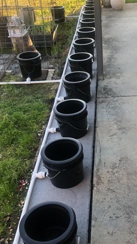 Customer photo review of 10"  Net Pot Bucket Lid