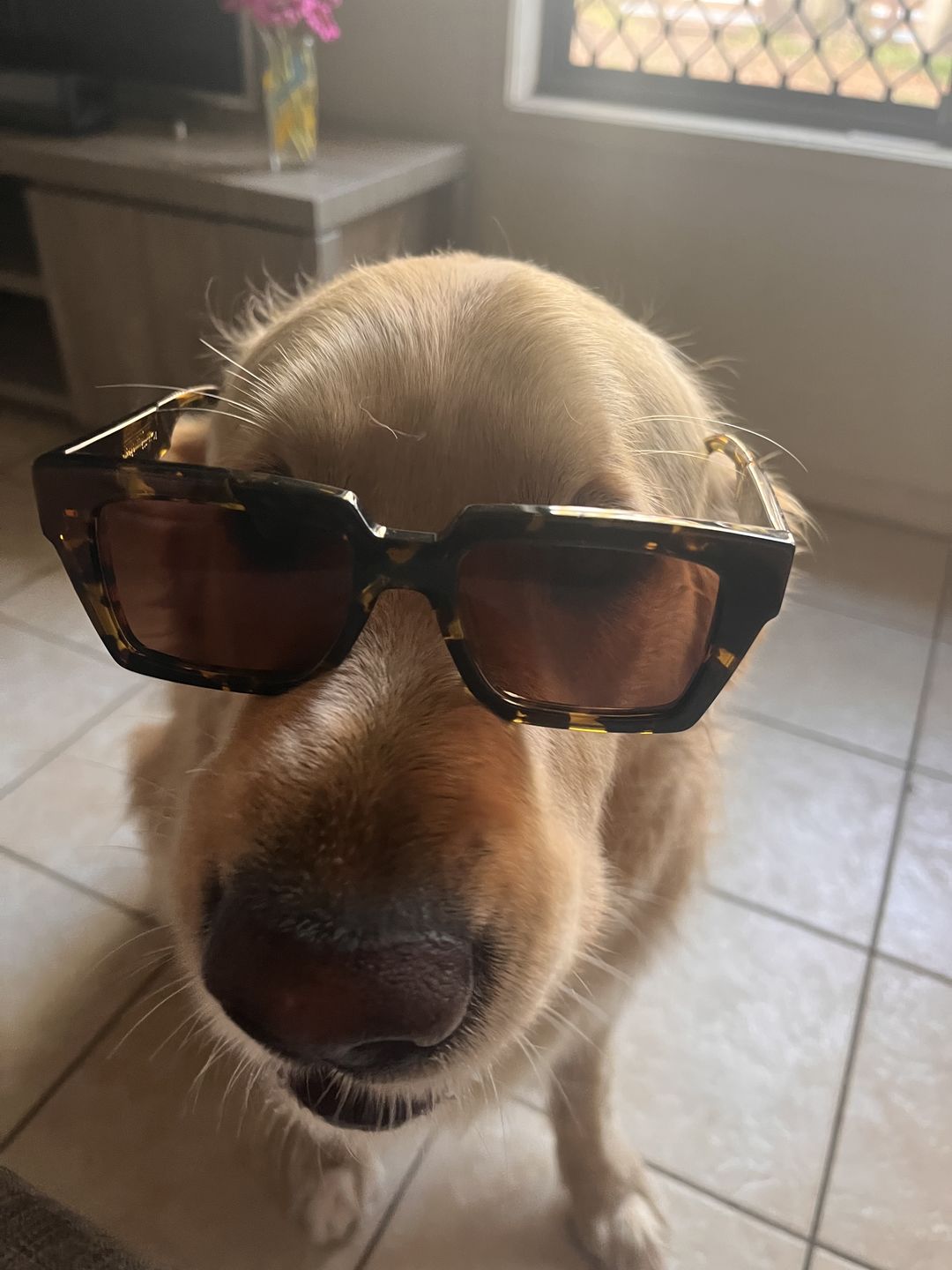 Customer photo review of LUKIE