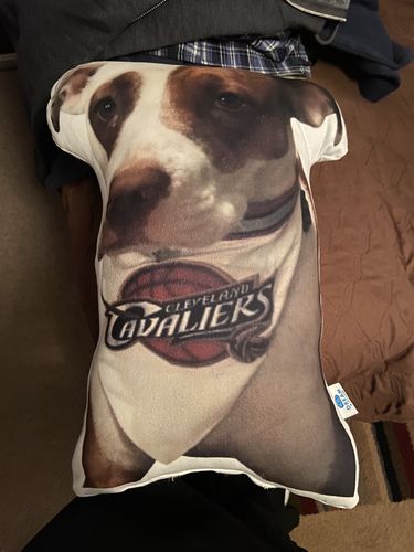 Customer photo review of Create A Custom Dog Pillow