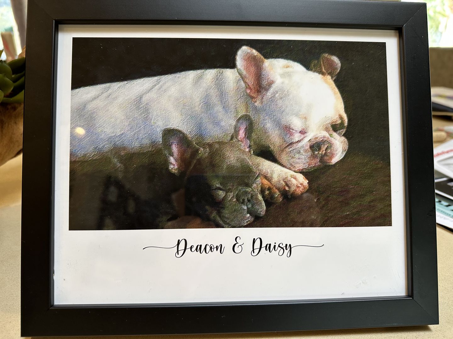 Customer photo review of Custom Pet Portrait
