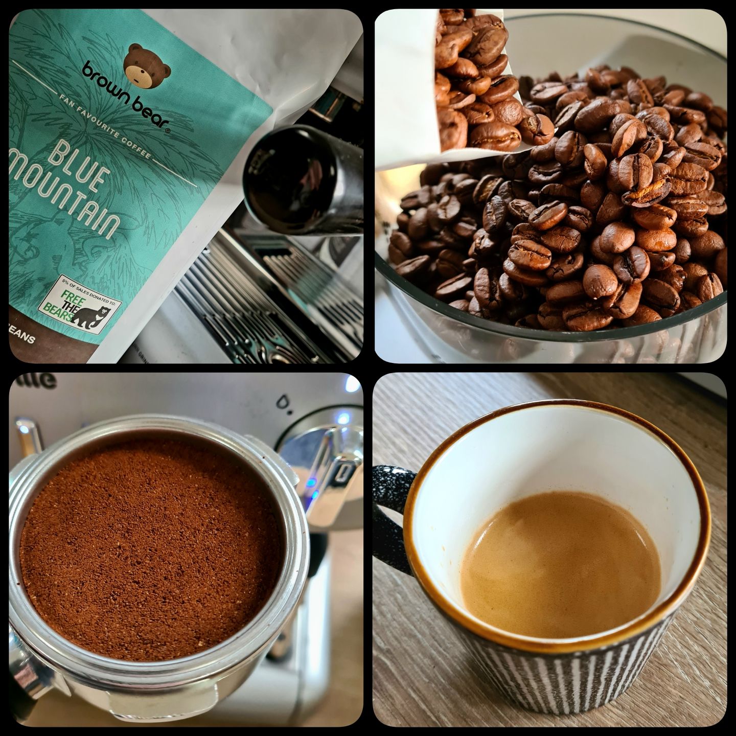 Customer photo review of Blue Mountain Coffee, Strength 3, Medium Roast