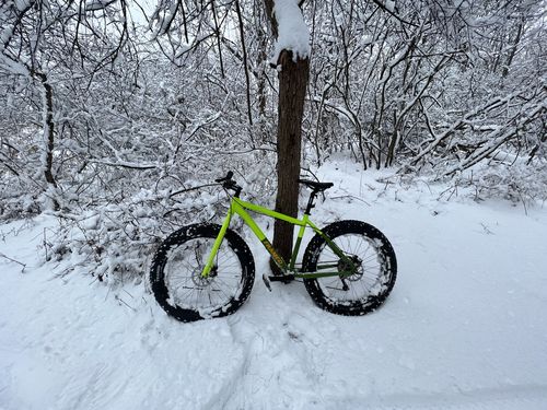Customer photo review of Minnesota - Fat 26"