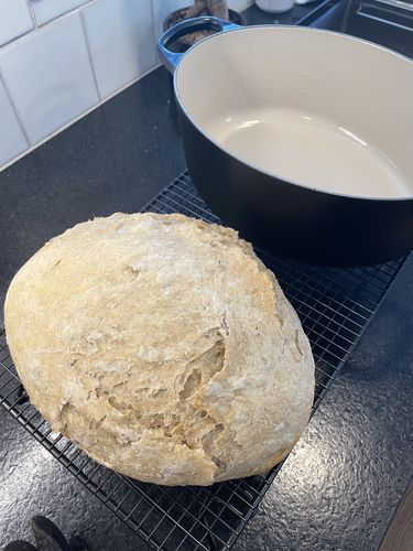 Customer photo review of Le Creuset Signature Cast Iron 4.7 QT (4.5L) Oval French Oven