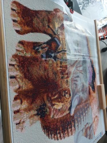 Kundenbewertung mit Foto zu Elefanten Afrika Traumwelt