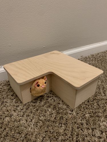 Customer photo review of Niteangel Wooden 3-Chamber 2-Chamber Hideout for Dwarf and Syrian Hamsters