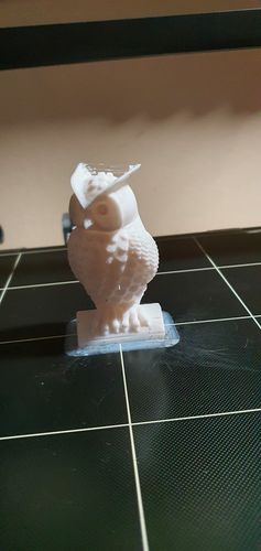 Customer photo review of Anycubic Kobra Plus