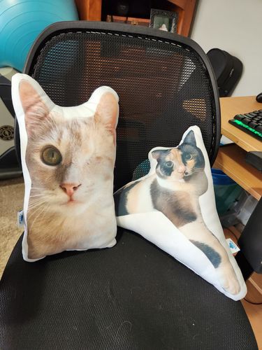 Customer photo review of Create A Custom Cat Pillow
