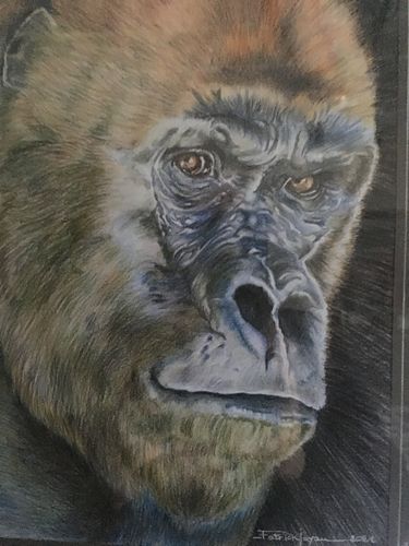 Customer photo review of 120 Pièces Crayons De Couleur Dans Un Étui À Fermeture Éclair