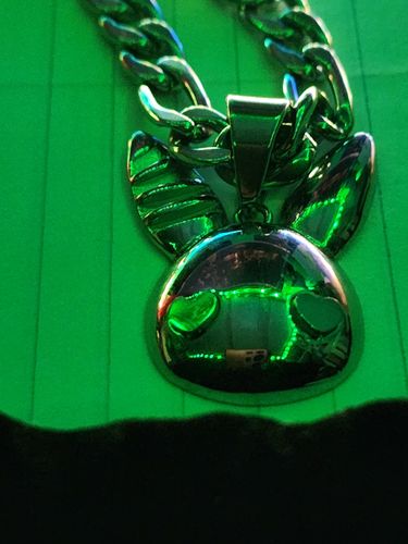 Customer photo review of Rabbit Heart Necklace