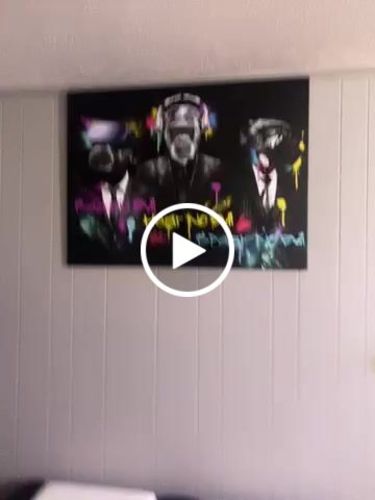 Customer video review of Three Wise Monkeys
