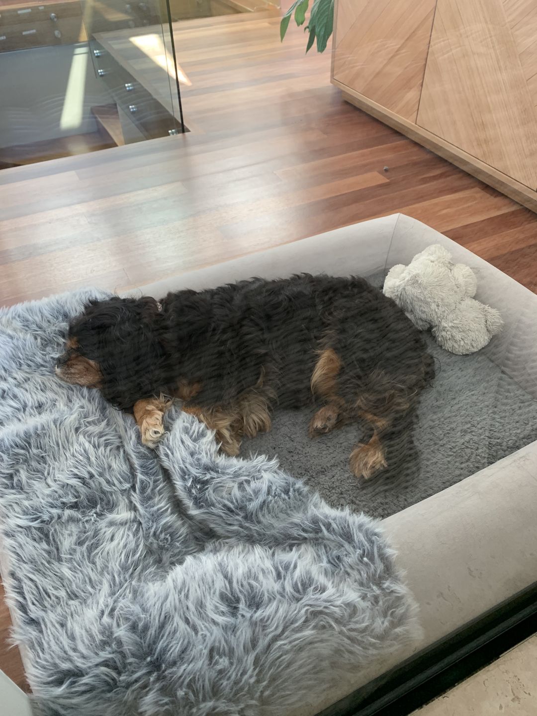 Customer photo review of Winter Cover With Self Heating Mat