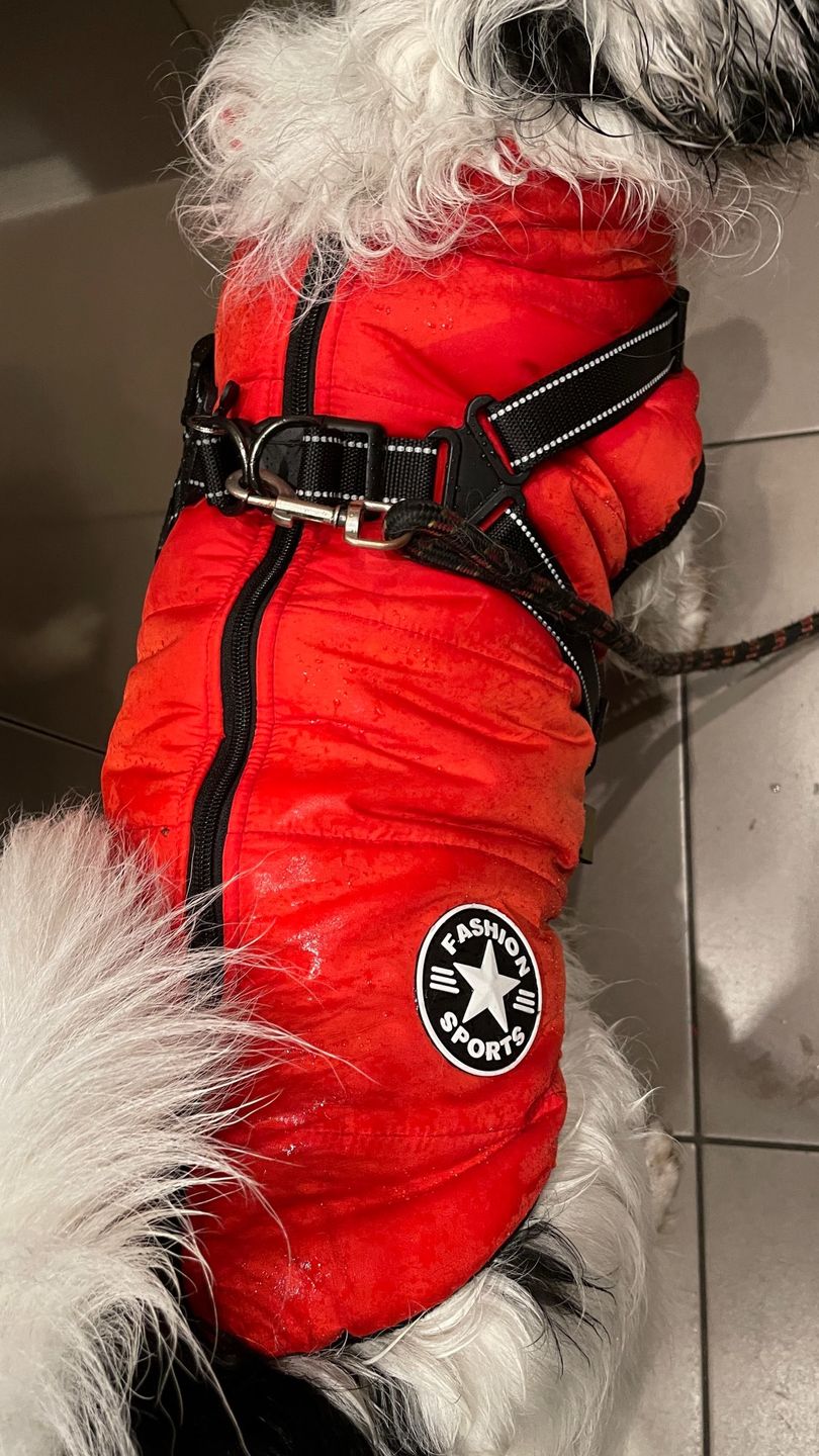 Customer photo review of FurryKing™ 3 in 1 Winter Jacket