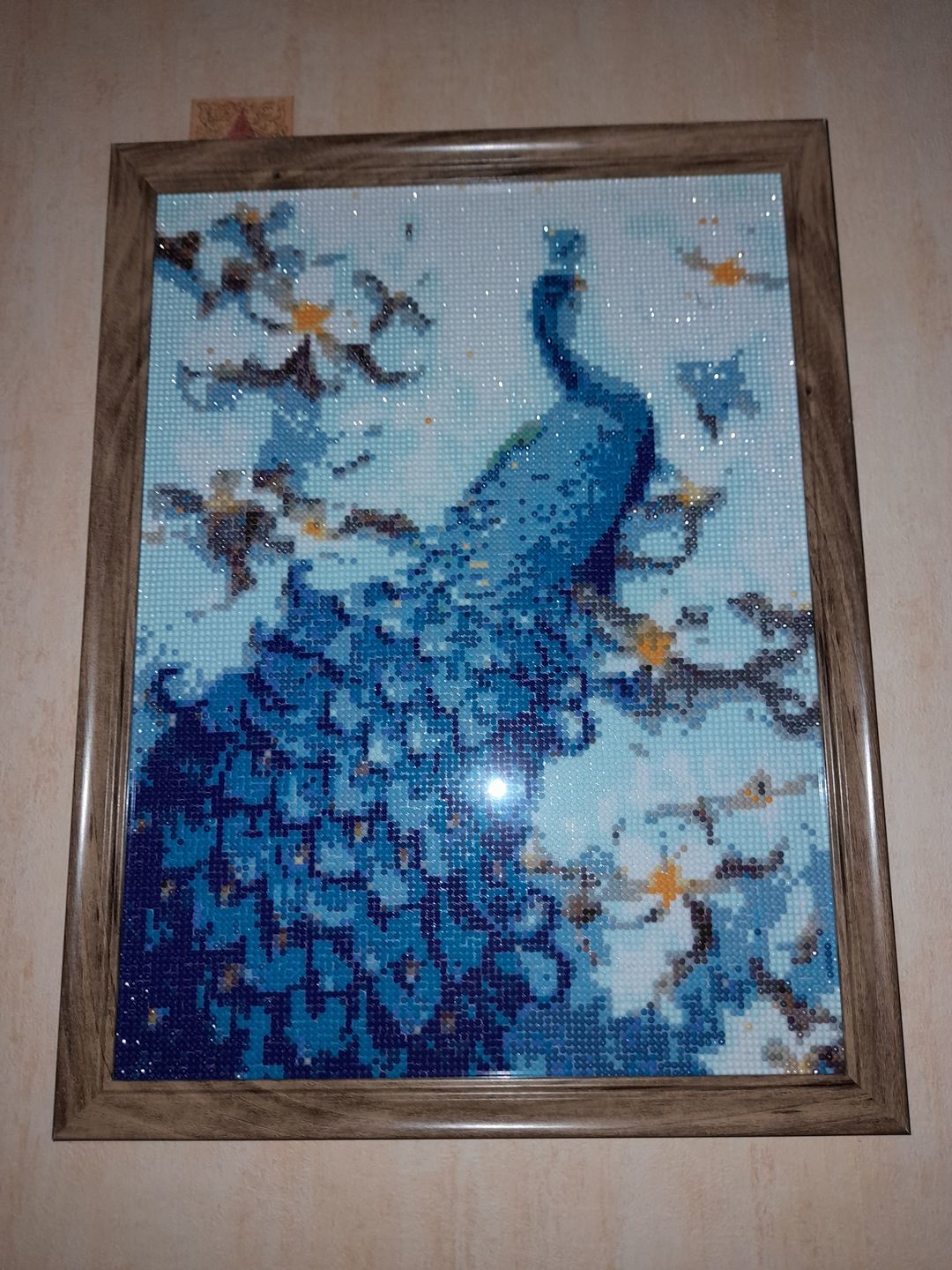 Customer photo review of Paon bleu