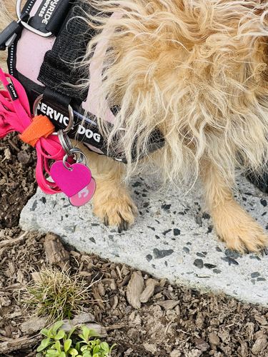 Customer photo review of Pink