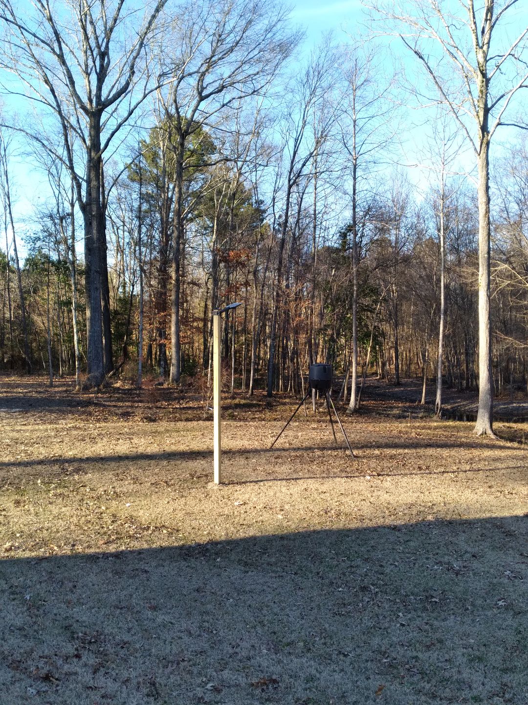 Customer photo review of Solar Green Light for Hunting Hogs Deer,Fish light -15,000lumens