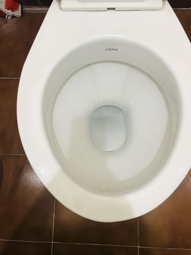 Customer photo review of Ecofriendly Toilet Cleaner liquid 100 Flush Protection, 500ml