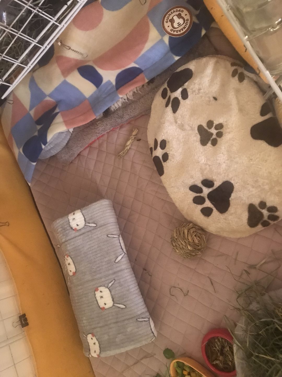 Customer photo review of GuineaDad Premium Liner - Ultra-Plush Guinea Pig Fleece Liner with AirCell™ Technology