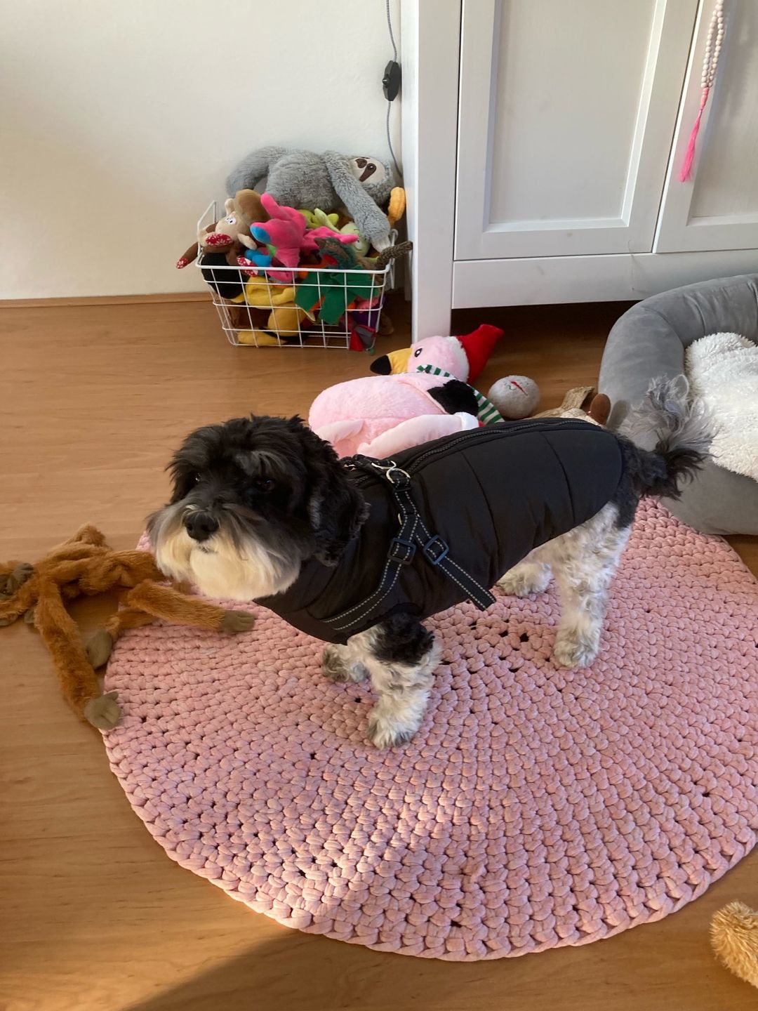 Customer photo review of FurryKing™ 3 in 1 Winter Jacket