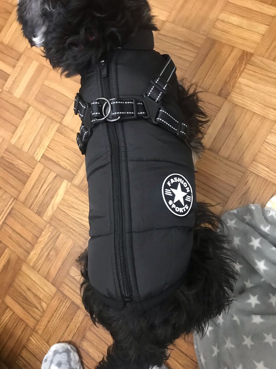 Customer photo review of FurryKing™ 3 in 1 Winter Jacket