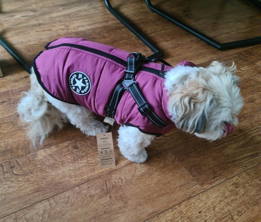 Customer photo review of FurryKing™ 3 in 1 Winter Jacket