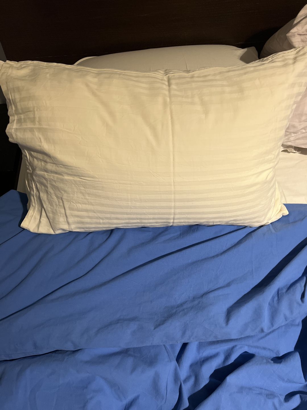 Customer photo review of Luxurious Plain Hotel Pillow