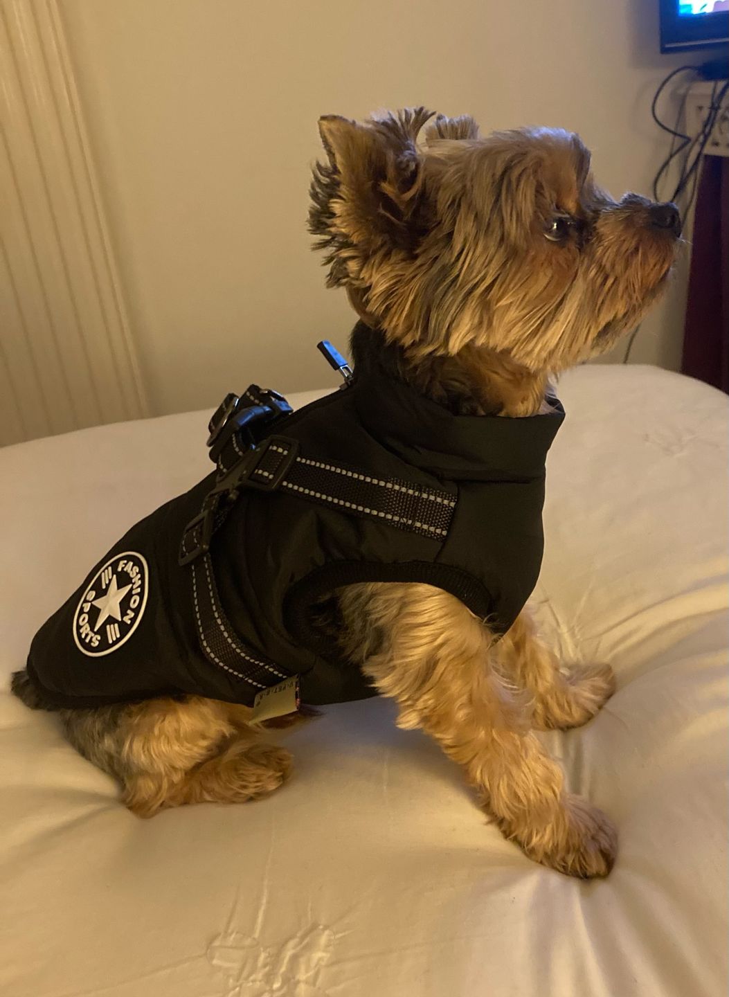 Customer photo review of FurryKing™ 3 in 1 Winter Jacket