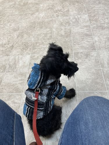 Customer photo review of Playa Poncho - Surprise Color