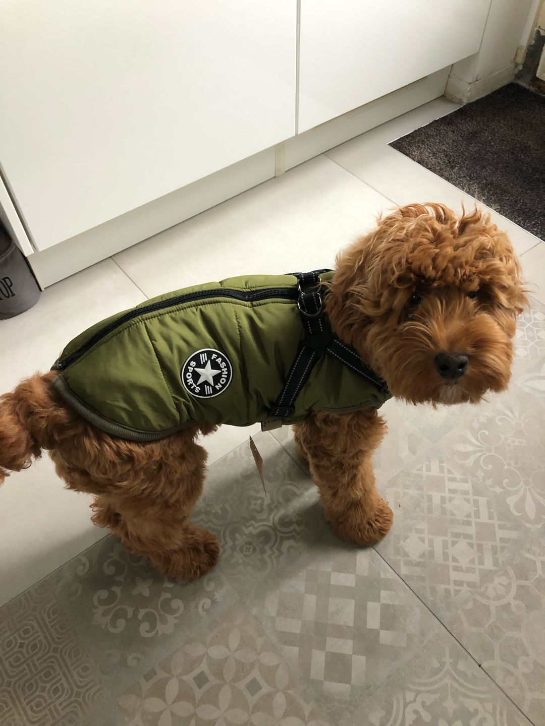 Customer photo review of FurryKing™ 3 in 1 Winter Jacket