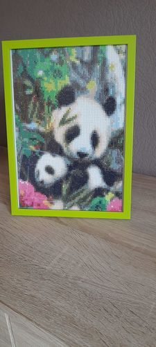 Customer photo review of Famille Panda