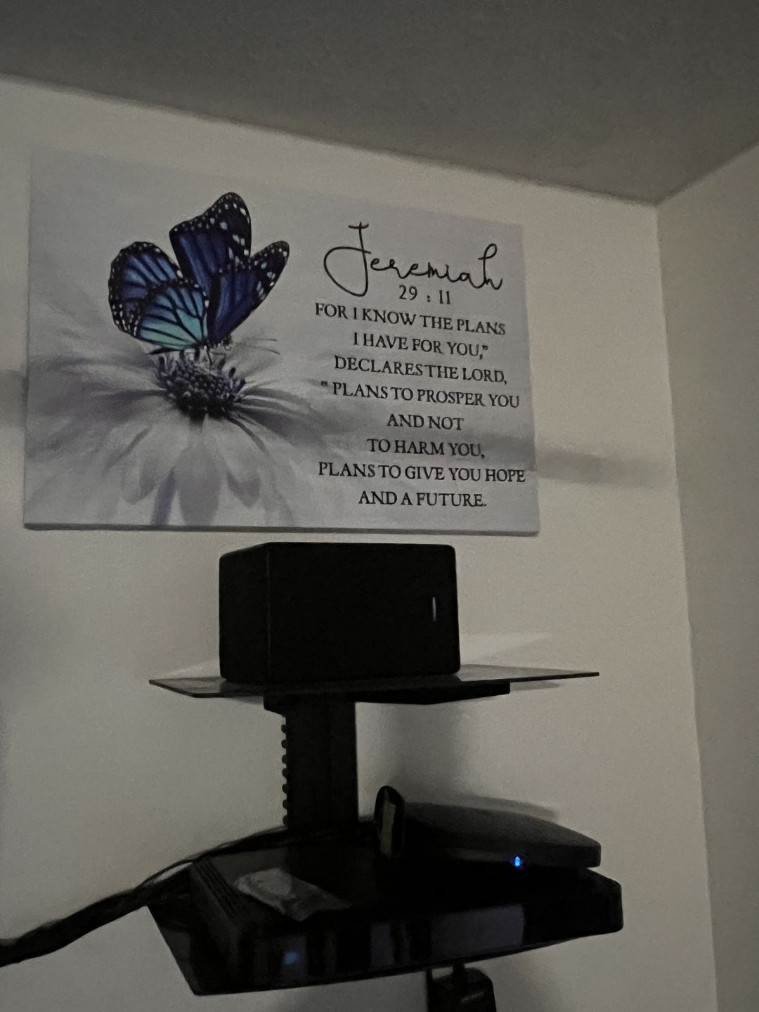 Customer photo review of For I know the plans I have for you Jeremiah 29:11 Butterfly wall art canvas