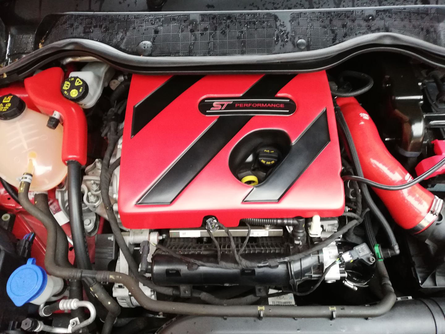 Customer photo review of Proform Engine Cover - MK8/8.5 Fiesta ST