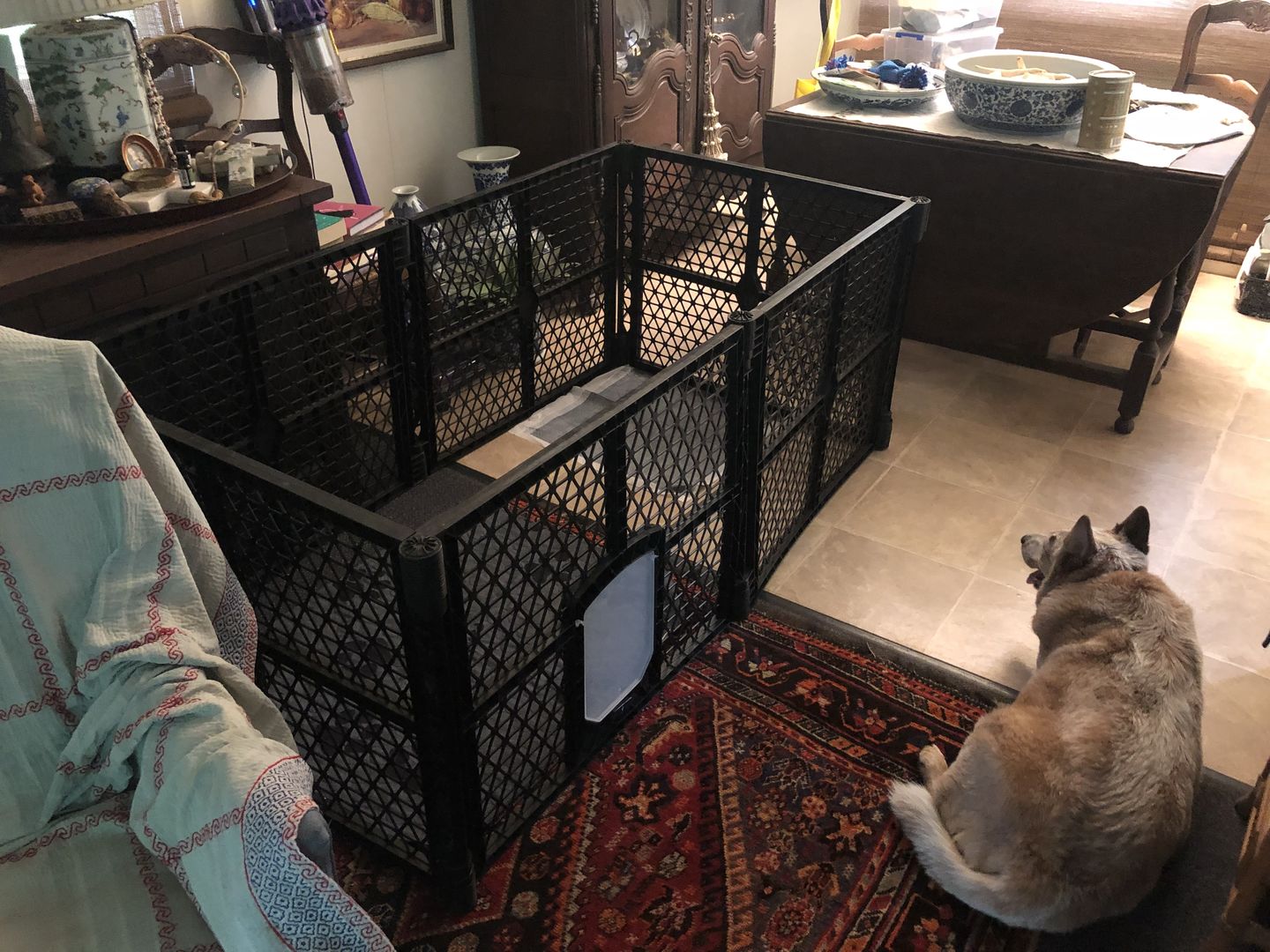 Customer photo review of PaWz Pet Foldable Portable Playpen Garden Outdoor