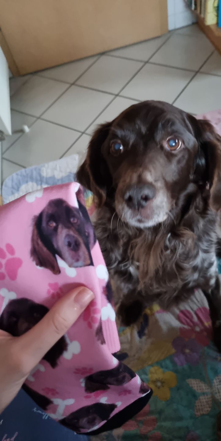 Customer photo review of Personalisierte Hundesocken
