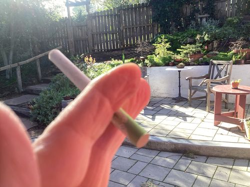 Customer photo review of Chief Stix CBG + CBD Regular Smokes (20ct/pack)