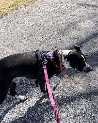 Customer photo review of Purple