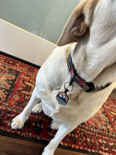 Customer photo review of Explorer Silicone