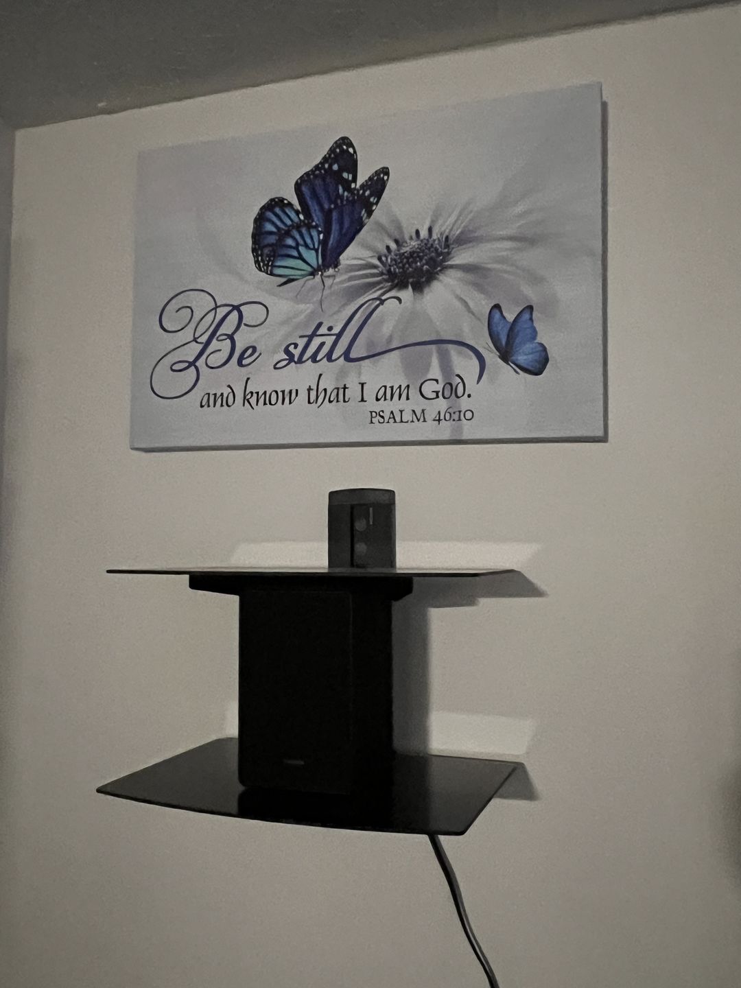 Customer photo review of Butterfly flower Be still and know that I am God Psalm 46:10 wall art canvas