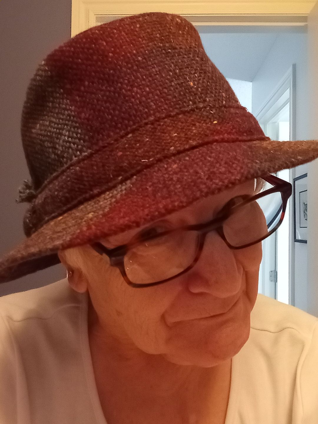 Customer photo review of Walking Hat Tweed