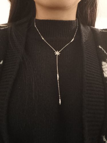 Customer photo review of Collar Silver Shine