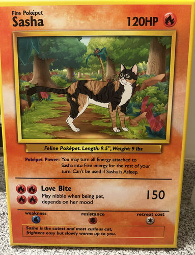 Customer photo review of PokePet Canvas