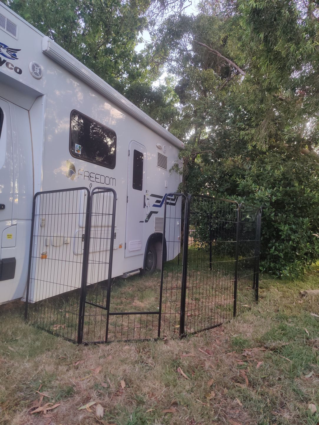 Customer photo review of PaWz 8 Panel Pet Dog Playpen