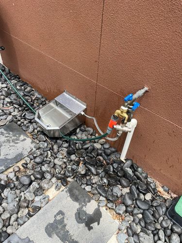 Customer photo review of Pet Rehydration Station