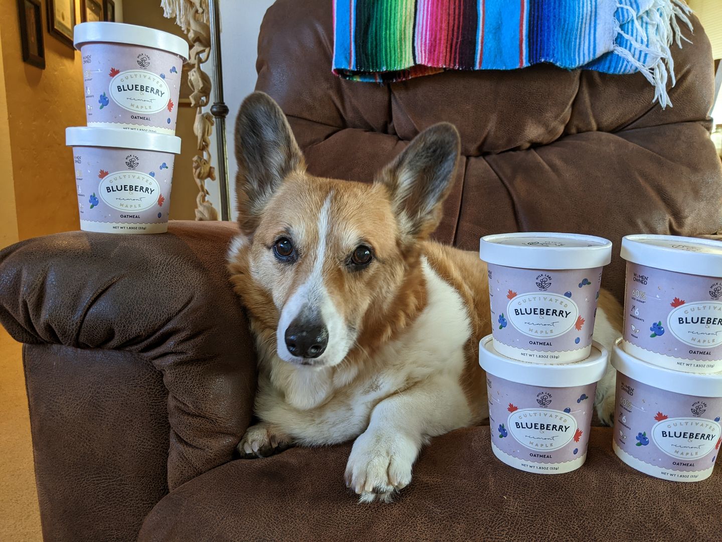 Customer photo review of Blueberry Maple Oatmeal