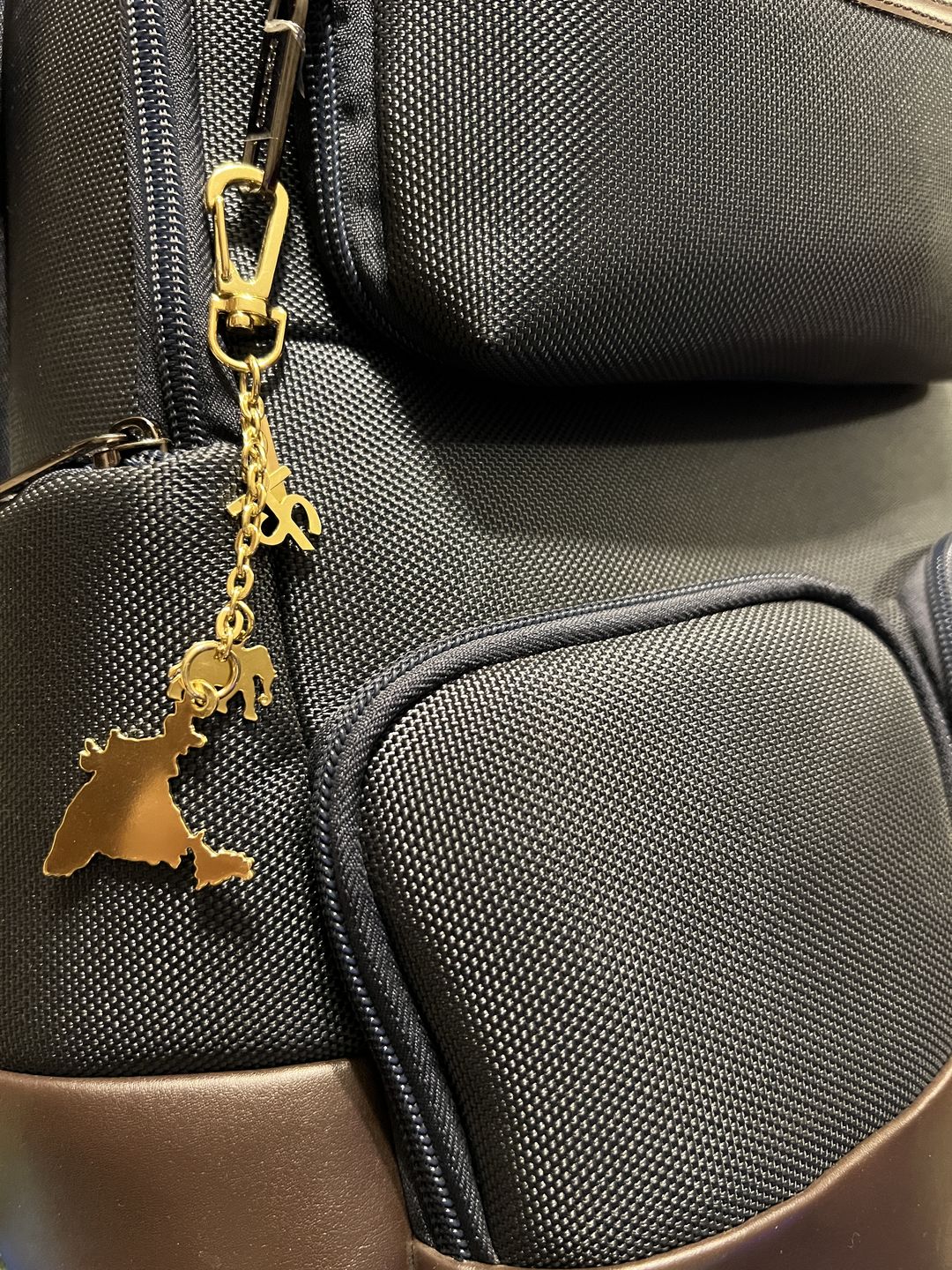 Customer photo review of Bag Charm India Map