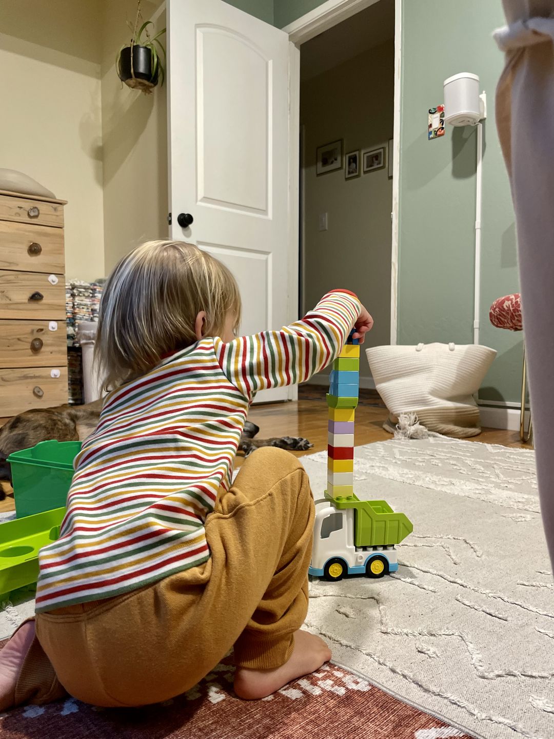 Customer photo review of Rainbow Striped Long Sleeve T-Shirt