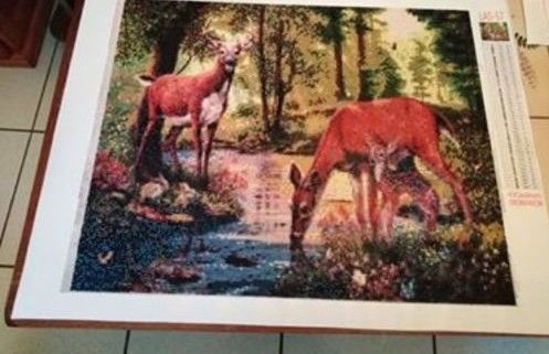 Customer photo review of Des Cerfs se Désaltérant dans la Forêt